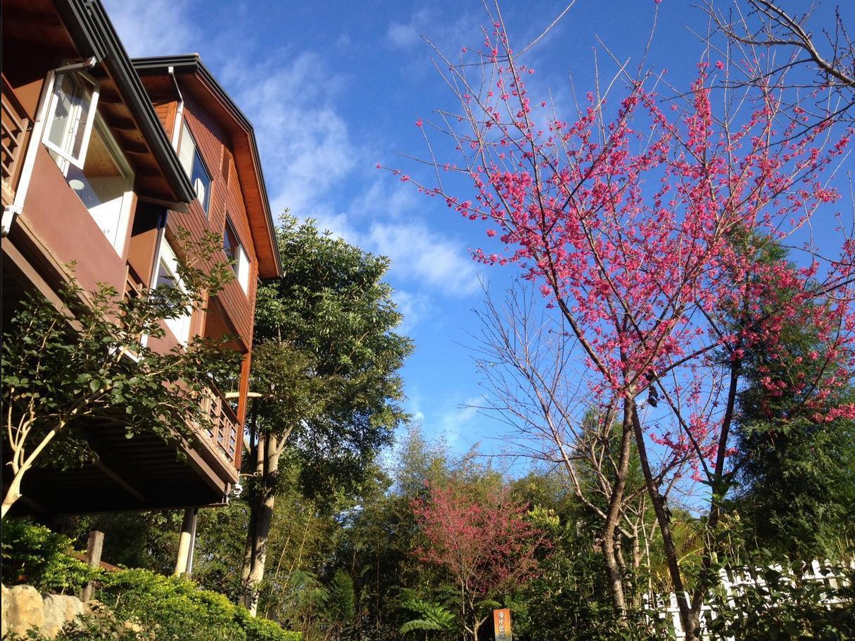Walk Cloud Bed And Breakfast Meishan Εξωτερικό φωτογραφία