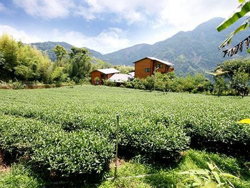 Walk Cloud Bed And Breakfast Meishan Εξωτερικό φωτογραφία